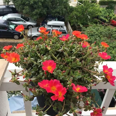 Appartement Bilalovic